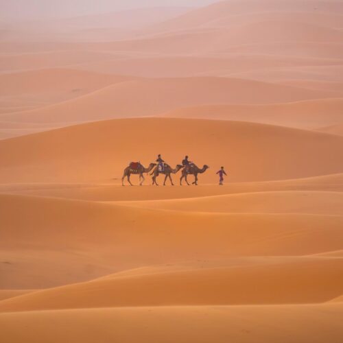 Morocco desert sahara 1